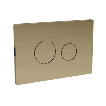 Brushed Brass Dual Flush Plate