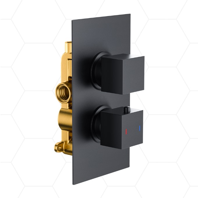 Plaza+ 1 Function Concealed Thermostatic Valve Matt Black